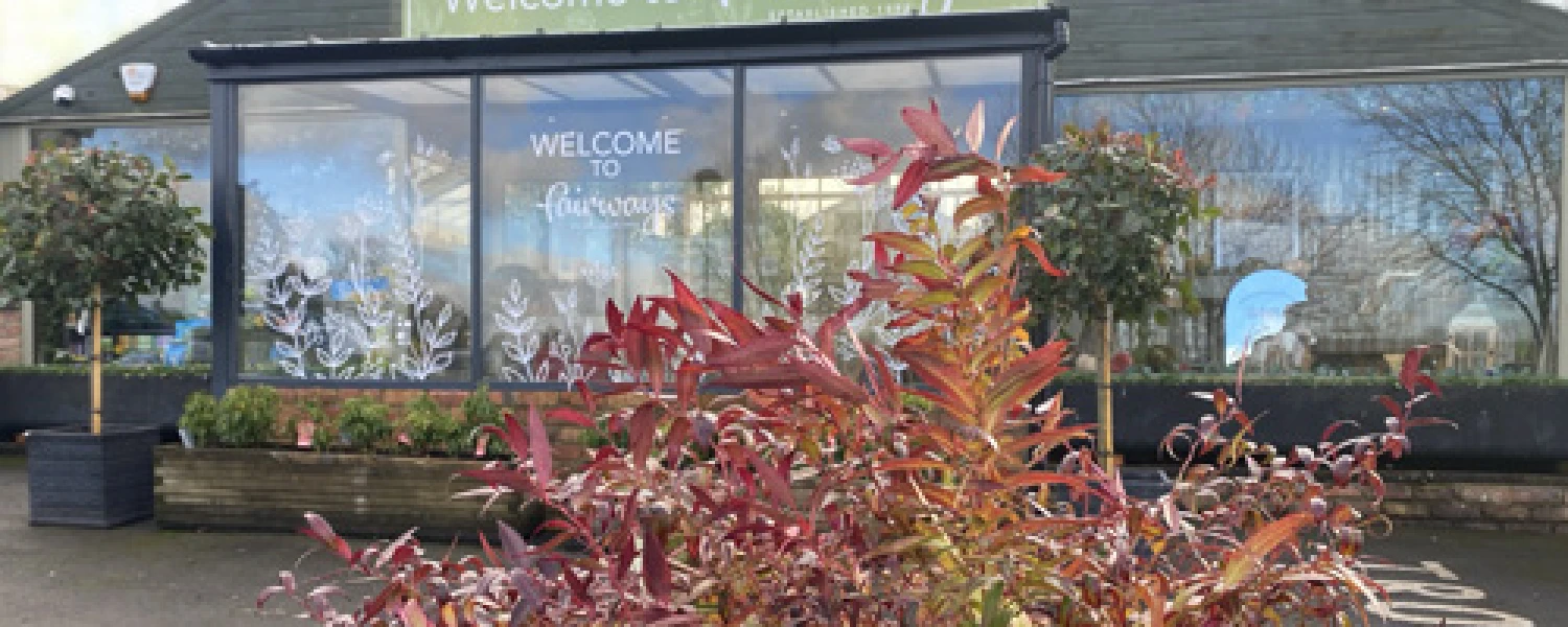 Fairways Garden Centre