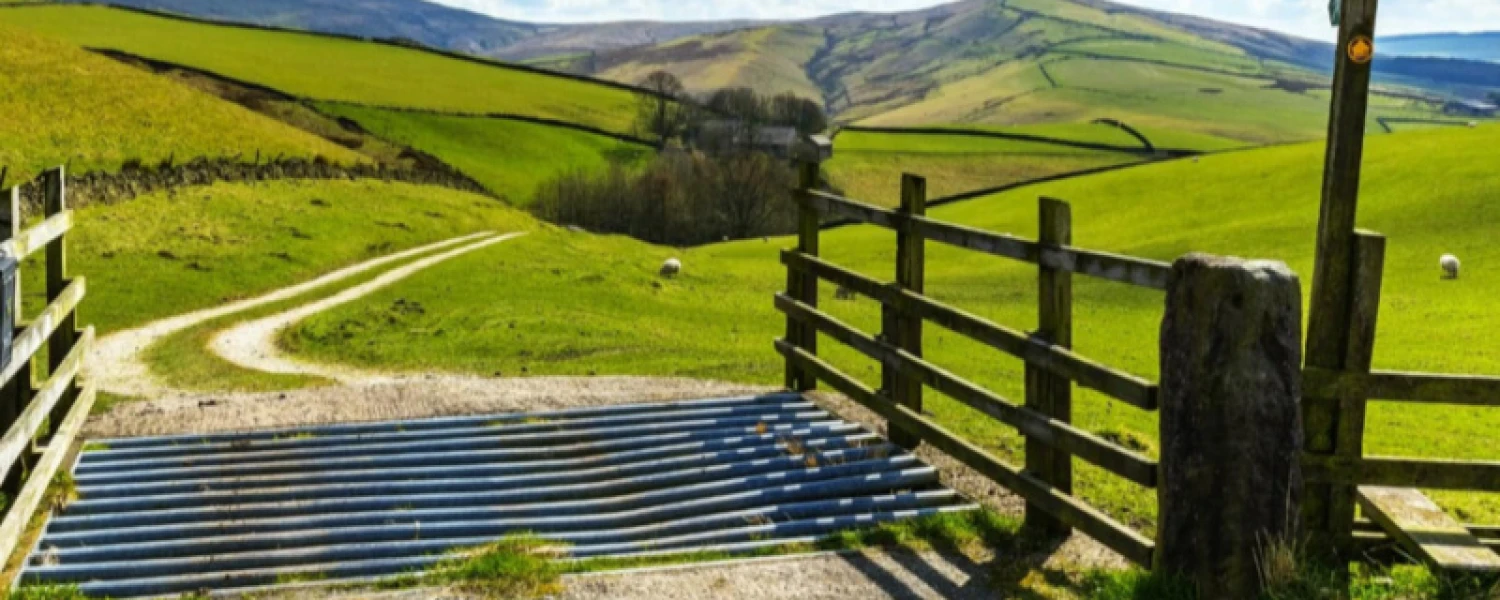 Nigel Davis Solicitors