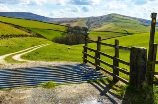 Nigel Davis Solicitors